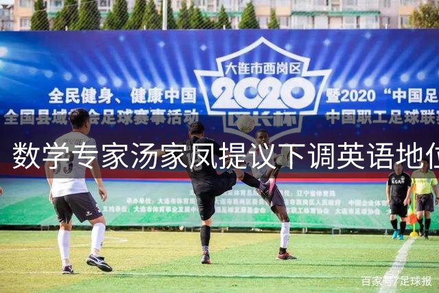 数学专家汤家凤提议下调英语地位引发热议